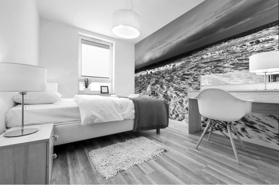 Silver Seas Mural print
