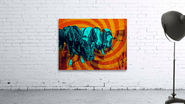 Coos Wall Preview