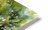 Country Meadow Path HD Metal print