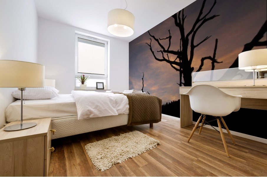 New Mexico Sunrise Mural print