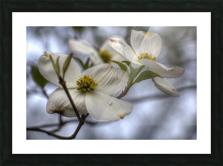 Spring Flowers Picture Frame print