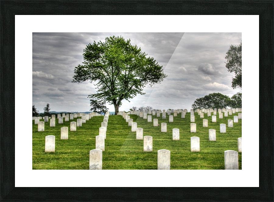 Cemetery Memorial Flags Picture Frame print