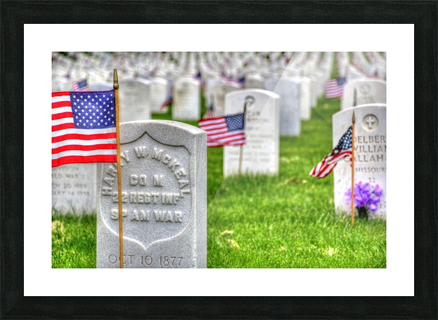 Memorial Flags Picture Frame print