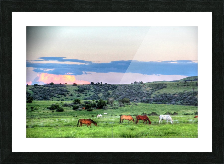 Home on the Range Picture Frame print
