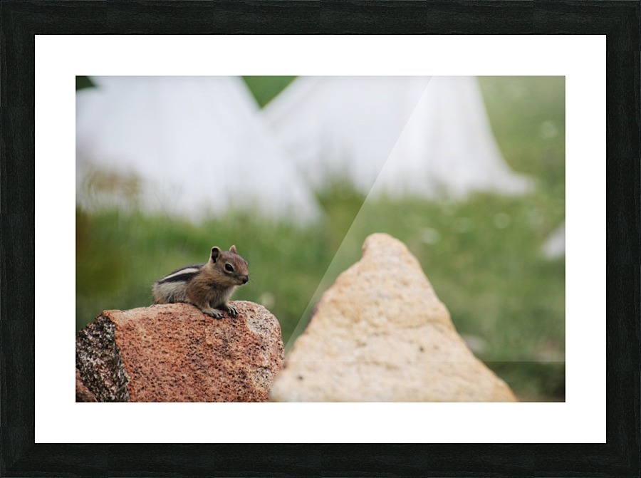 Mini-Bear Hunting Picture Frame print