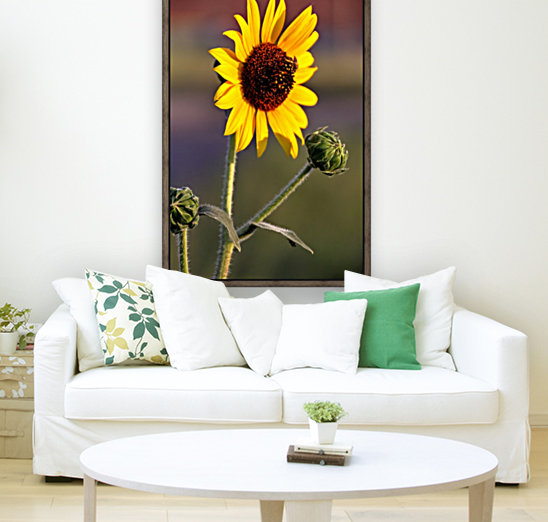 Sunflower Reproduction