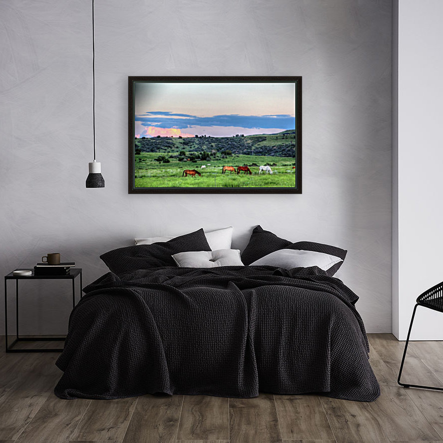 Home on the Range Reproduction