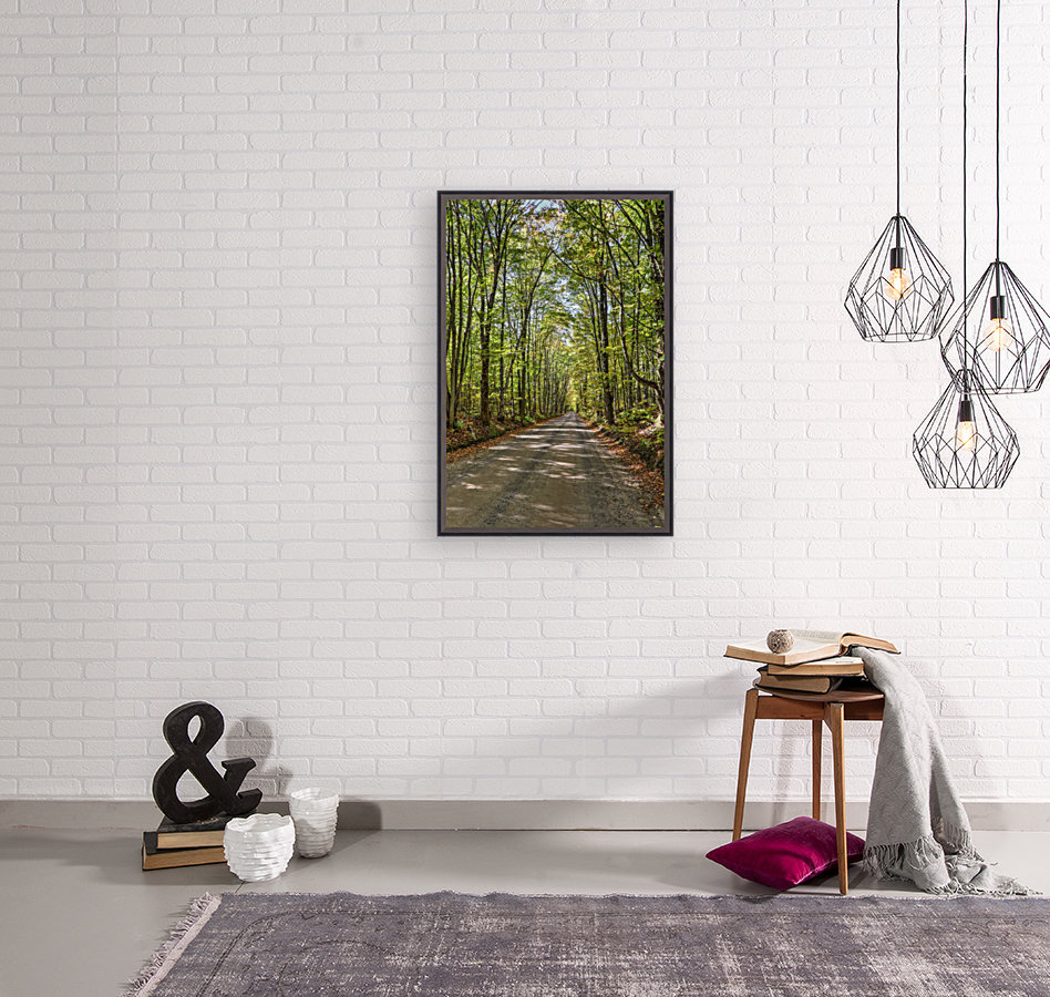 Road Less Traveled Reproduction