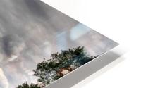 Cemetery Memorial Flags HD Metal print