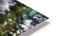 Villa Garden HD Metal print