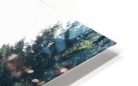Lighthouse Through the Woods HD Metal print