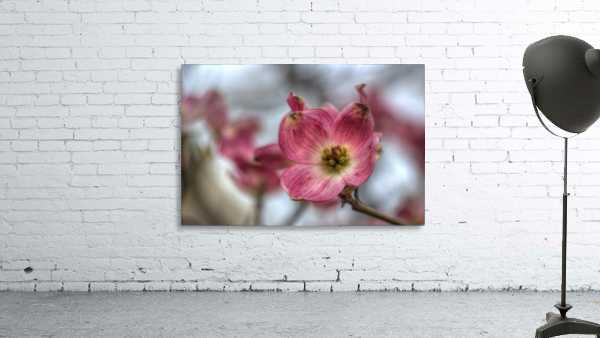 Spring Flowers Wall Preview