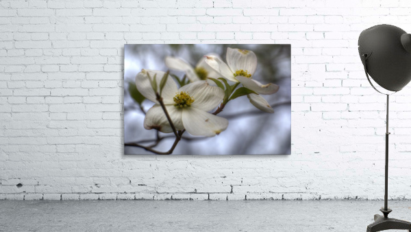 Spring Flowers Wall Preview