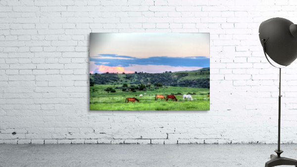 Home on the Range Wall Preview