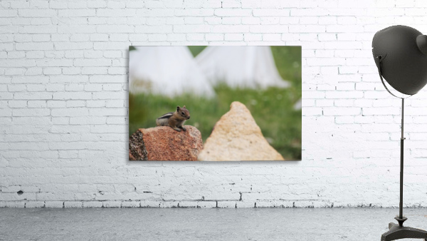 Mini-Bear Hunting Wall Preview