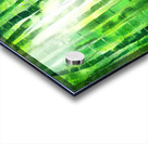 Bamboo tree in the forest with sunlight Acrylic print