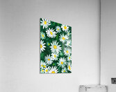 White Daisy Flower Gouache Pattern Acrylic Print
