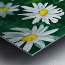 White Daisy Flower Gouache Pattern Metal print