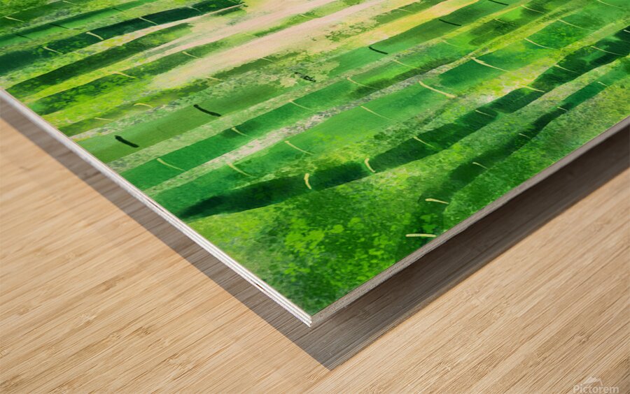 Bamboo tree in the forest with sunlight Wood print