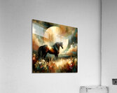 Moonlit Grace Acrylic Print