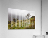 Lake District 3 Acrylic Print