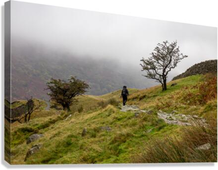 Lake District 3 Canvas Print