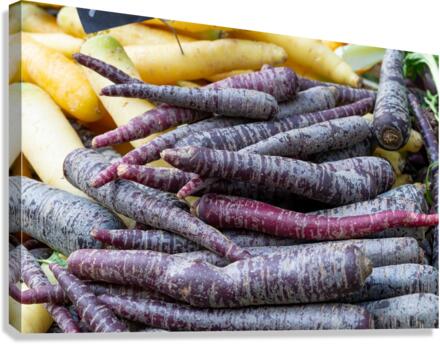 Purple Carrots Canvas Print