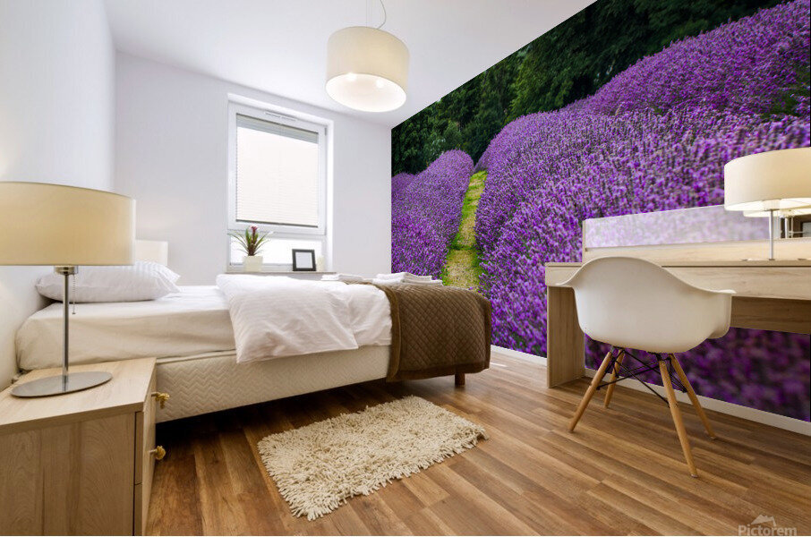 Lavender Rows Mural print