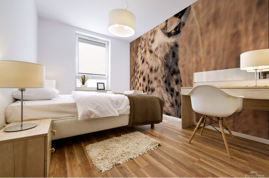 Cheetah in Namibia Mural print