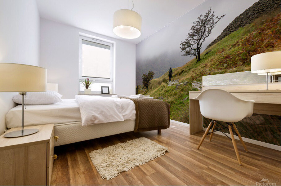 Lake District 3 Mural print