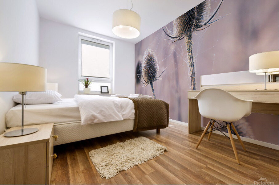 Burdock Thistle Mural print