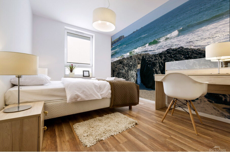 Kynance Cove Mural print
