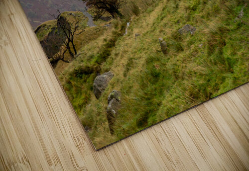 Lake District 3 Milton Cogheil puzzle