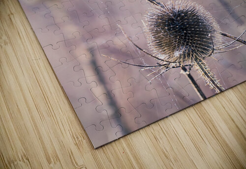 Burdock Thistle Milton Cogheil puzzle