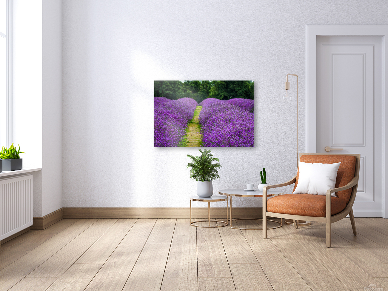 Lavender Rows Reproduction