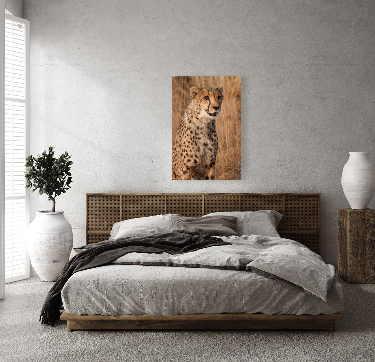 Cheetah in Namibia Reproduction