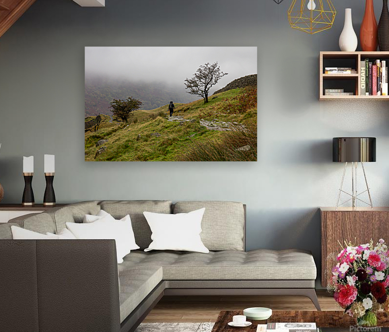 Lake District 3 Reproduction