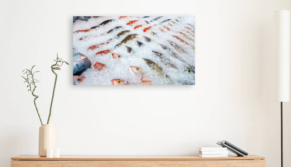 Assortment of fish on display by Milton Cogheil