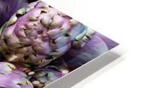 Artichokes HD Metal print