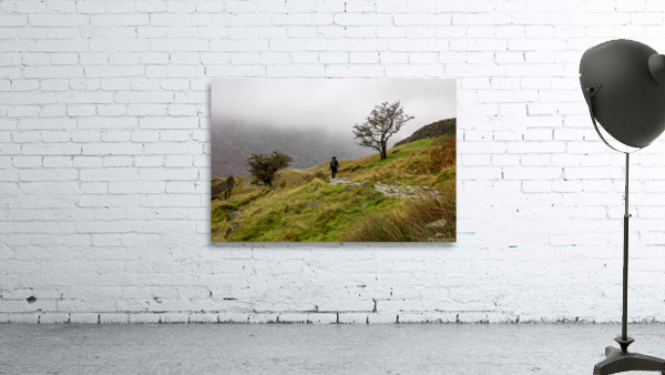 Lake District 3 Wall Preview