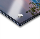 Red Wine Sunset Acrylic print