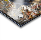 Mama Bear Acrylic print