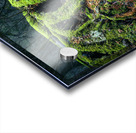 Enchanted Forest Acrylic print