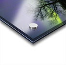 Comet Fall Aurora by lone Tree Impression Acrylique