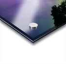 Lone Tree Under Aurora Glow Acrylic print