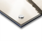 Still Waters Acrylic print