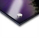 Aurora and Moonlight over the Canopy Acrylic print