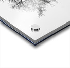 Lone Tree in Snowstorm Acrylic print