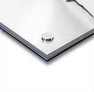 Bear Lake Acrylic print