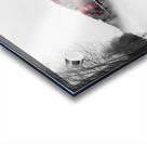 Train After Snowstorm Acrylic print